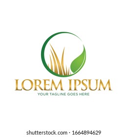 Gold Grass with Green Leaf and gradient Gold Text. Nature Logo Template. Leaf Logo Template