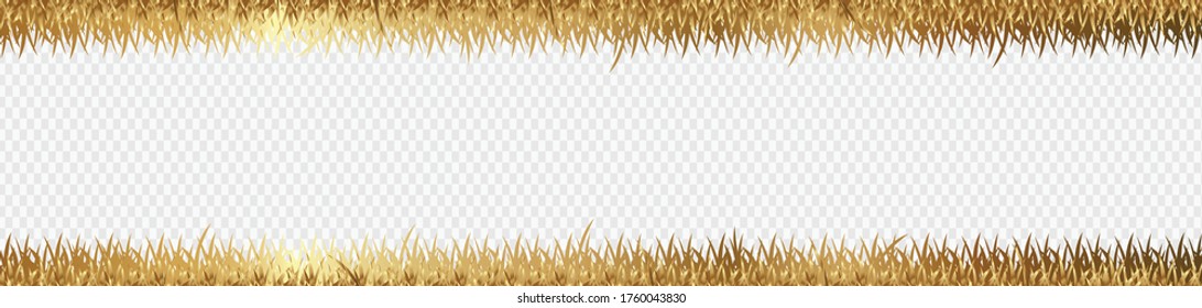 gold grass is longitudinal to use as a design element isolated from a transparent Vector for artwork & Magazine background
