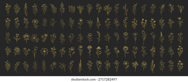 Colección de Elementos florales dibujados a mano de oro, flores botánicas elegantes y arte de línea de hojas, diseño decorativo de lujo para la boda e invitación sobre fondo transparente