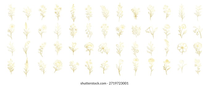 Gold hand drawn floral elements collection, elegant botanical flowers and leaves line art, luxury decorative design set for wedding and invitation on transparent background