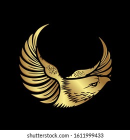 gold head of hawk falcon eagle vector Logo design icon illustration template