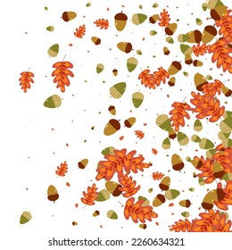 Gold Herb Background White Vector. Oak Decoration Design. Brown Acorn. Outline Set. Yellow Foliage Natural.
