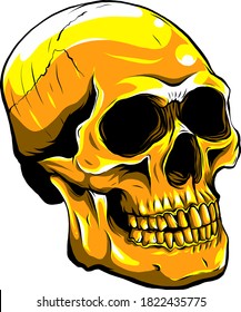 gold human skull on white background. vector illustration