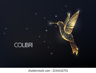 Gold hummingbird made of lines, dots, circles and polygons isolated on black background. 