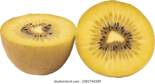 Gold kiwi vector isolated on white background. Vector yellow kiwi with white background, organic shapes. Kiwi gold Vector background for banners, posters, web and packaging