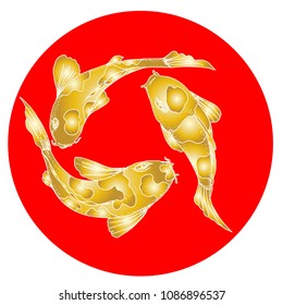 Gold koi carp fish vector isolate on white background.koi carp wming in circle.