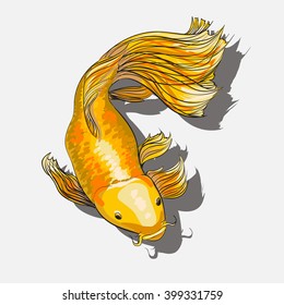 gold koi fish tattoo color style. Japanese print with koi fish. Vector art illustration