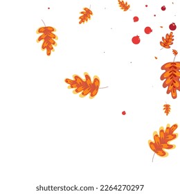 Gold Leaf Background White Vector. Leaves Image Illustration. Brown Acorn. Pattern Texture. Red Oak Backdrop.