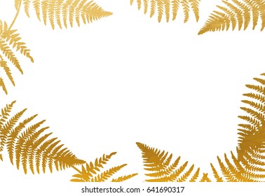 Gold Leaf Frame on White Background. Fern. Vector