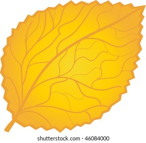 gold leaf on white background