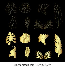 Gold Leaf set vector with Hibiscus flower