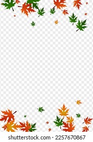 Gold Leaves Background Transparent Vector. Maple Design Template. Golden Paper. Ground Design. Yellow Leaf Celebrate.