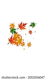 Gold Leaves Background White Vector. Plant Fall Frame. Colorful Flying. Canada Template. Red Leaf Decoration.