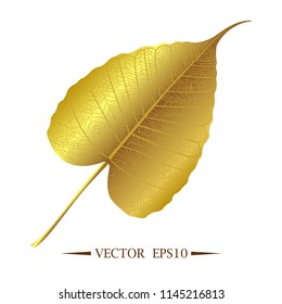 Gold leaves of Bodhi tree , Ficus religiosa or Sacred fig ,Symbols of Buddhism Vector Illustration.