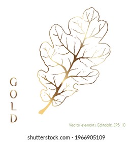 Gold leaves vector graphics for the wall. Oak Leaf. Line drawing of boho foliage with abstract shape. Abstract plant design for prints, covers, wallpapers, minimal designs