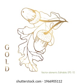 Gold hinterlässt Vektorgrafiken für die Wand. Ein Eichenblatt und ein Ast mit Eichen. Linienzeichnung von boho Blattwerk mit abstrakter Form. Abstraktes Pflanzendesign für Drucke, Cover, Bildschirmhintergründe, minimale Designs