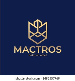 Gold Letter M Logo Design Template Inspiration - Vector