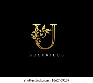 Gold Letter U Logo. U Letter Design Vector with Golden Colors and Floral Hand Drawn.