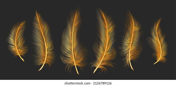 Gold light feathers. Yellow fantessy feather set in dark for royal pillow, fantsay jewelry lighting plumage, golden angel bird feathering vector, magic idol feathered objects