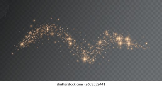 Gold Light. Vector Glitter Particles. Shining Bokeh
