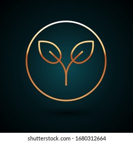 Gold line Bio fuel icon isolated on dark blue background. Eco bio. Green environment and recycle.  Vector Illustration