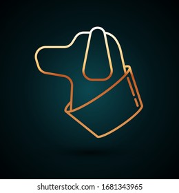 Gold line Dog icon isolated on dark blue background.  Vector Illustration