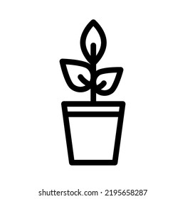 gold line icon illustration vector graphic 
