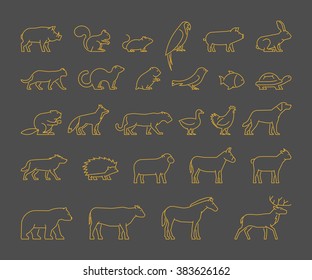 Gold line set of domestic, farm and wild animals. Icon cow, bear, beaver, sheep, chicken and others.