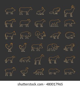 Gold line set of silhouettes of australian, african, american and other animals. Vector icon 