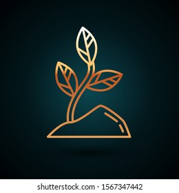 Gold line Sprout icon isolated on dark blue background. Seed and seedling. Leaves sign. Leaf nature.  Vector Illustration