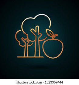 Gold line Tree with apple icon isolated on dark blue background. Agricultural plant. Organic farm product. Gardening theme.  Vector Illustration