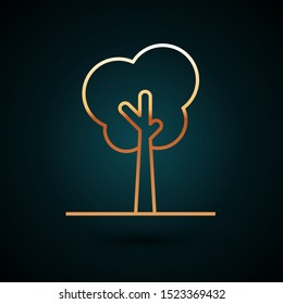Gold line Tree icon isolated on dark blue background. Forest symbol.  Vector Illustration