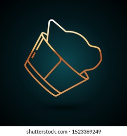Gold line Veterinary clinic symbol icon isolated on dark blue background. Cat veterinary care. Pet First Aid sign.  Vector Illustration