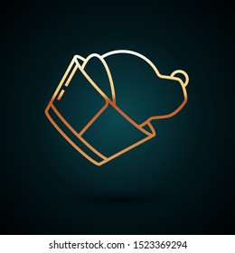 Gold line Veterinary clinic symbol icon isolated on dark blue background. Dog veterinary care. Pet First Aid sign.  Vector Illustration