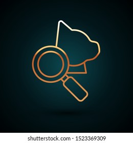 Gold line Veterinary clinic symbol icon isolated on dark blue background. Magnifying glass with cat veterinary care. Pet First Aid sign.  Vector Illustration
