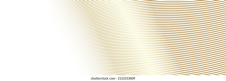 Gold line wave background. Lauxury pattern