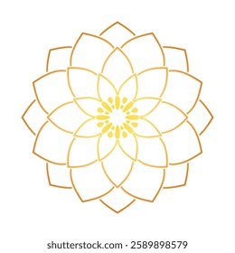 gold lotus flower line illustration top view