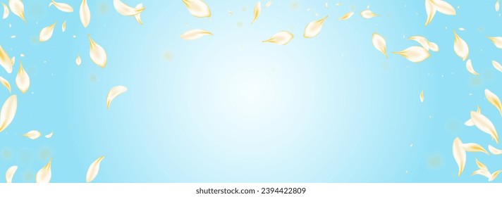 Gold Lotus Flying Vector Panoramic Blue Background. Beige Falling Sakura Texture. Yellow Blossom Japan Wallpaper. Delicate Cherry Beauty Pattern. Summer Rose Poster.