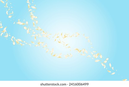 Gold Lotus Japanese Vector Blue Background. Beige Fly Blossom Cover. Delicate Cherry Fall Template. Yellow Flower Falling Texture. Japan Floral Pattern.