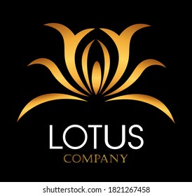 The gold lotus on the black background