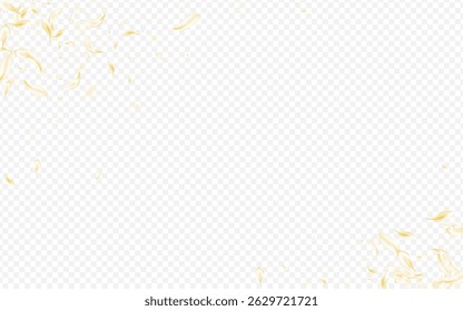 Gold Lotus Spring Vector Transparent Background. Delicate Fall Cherry Frame. Light Petal Summer Backdrop. Beige Sakura Tender Cover. Japan Flower Texture.