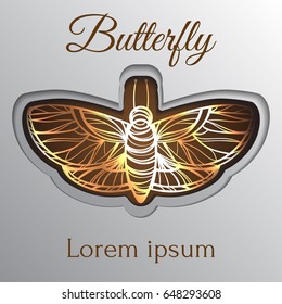 Gold luxury abstract butterfly template on brown background with reflection.