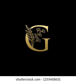 Gold Luxury G Letter Logo on Golden Color