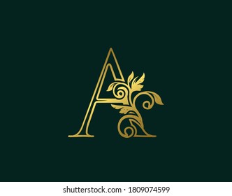 Gold A Luxury Logo Icon, Classy Letter Logo Design. Luxury Silver calligraphic alphabet arts logo.  