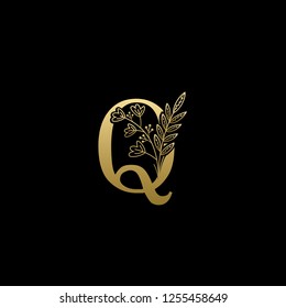 Gold Luxury Q Letter Logo on Golden Color