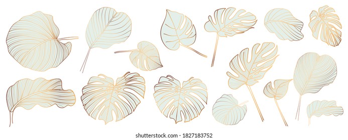 Gold and luxury tropical leaves vector. Abstract exotic plan, tropical leaf palm,Monstera leaf vector design elements on the white background.