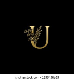 Gold Luxury U Letter Logo on Golden Color