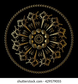 Gold mandala on black background. Sea Shells ornament. Ethnic Summer vintage pattern.