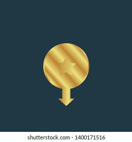 gold map pin with star icon. modern graphic design