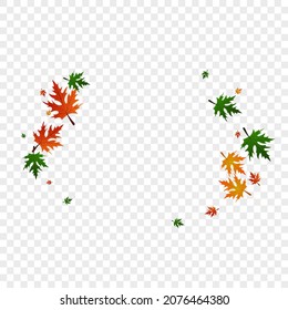 Gold Maple Background Transparent Vector. Plant Decoration Pattern. Green National. Design Texture. Golden Leaves Ground.